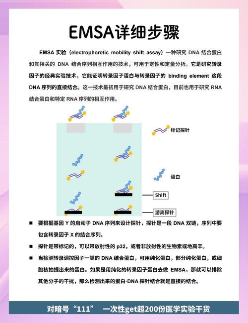 Rtems代码执行后为何出现如此诡异现象，背后原因究竟是什么？