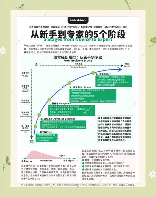 如何从SEO新手成长为专家，掌握全面指南？