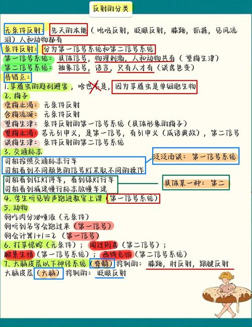 如何通过反射获取特定接口的所有实现类名称？