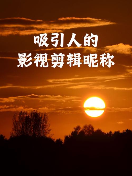 Video域名为何如此吸引人？揭秘其独特魅力！🎥