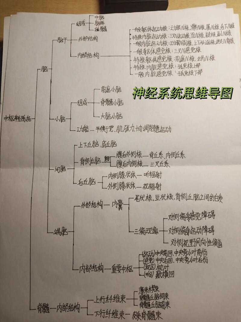 如何实现基于符号知识的自适应且可解释的神经记忆模型？