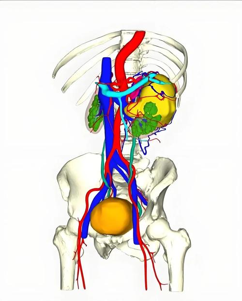 三维重建究竟有何神奇之处，在哪些领域大显身手？