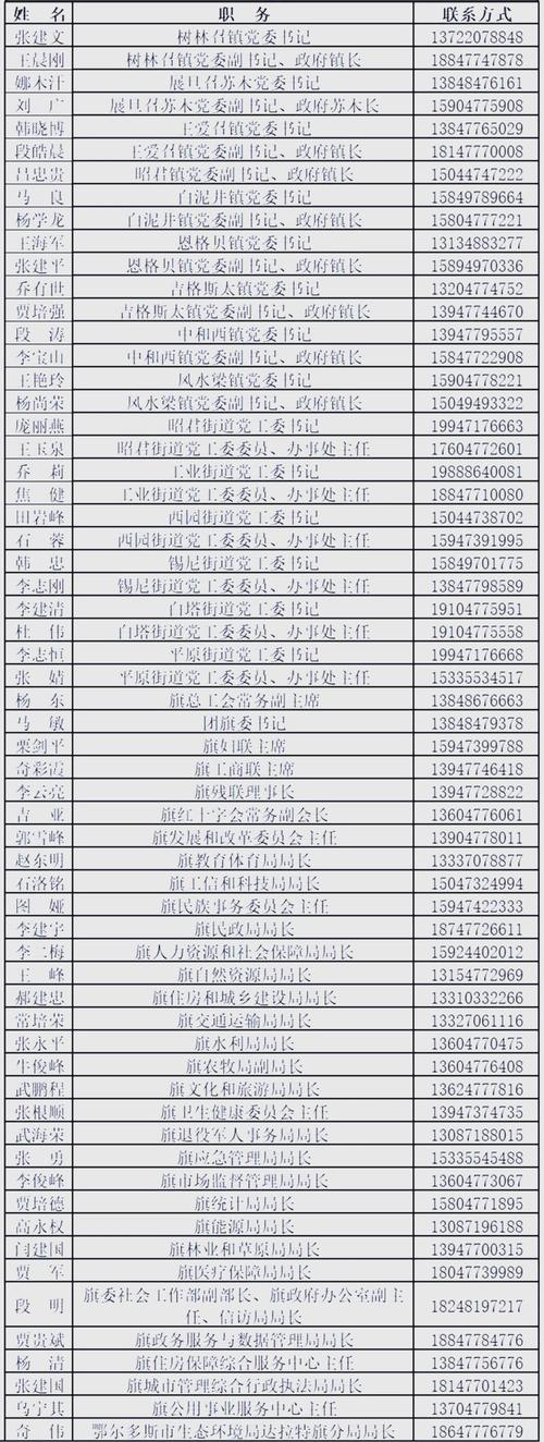 通讯录文件里包含哪些联系人的姓名和电话号码？