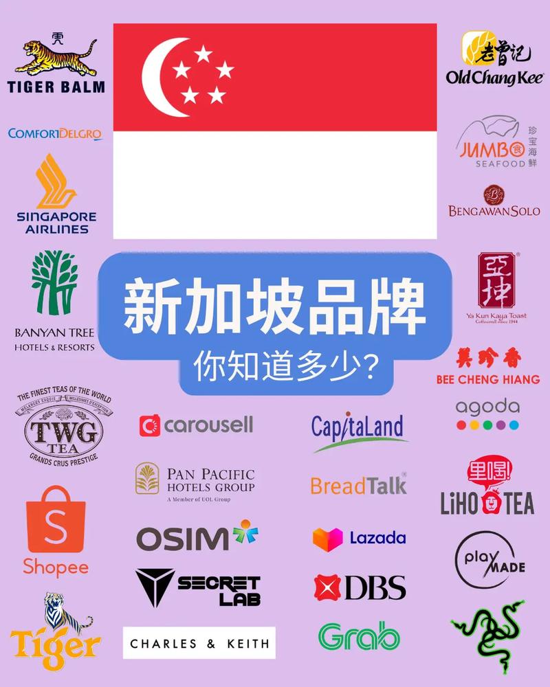 如何构建新加坡高端官网，使其成为国际化品牌形象的数字门户典范？