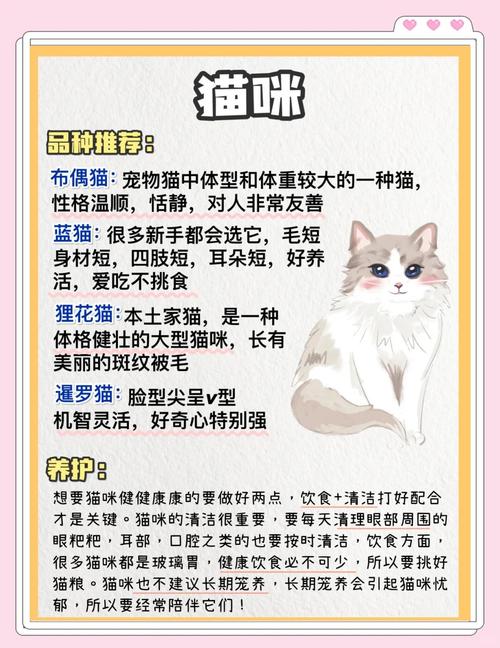 2026年有哪些宝藏宠物品牌是宠物主必看的？