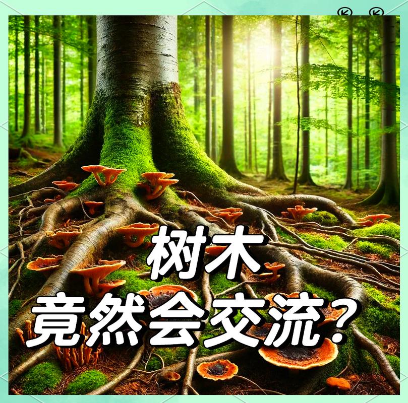 自然连接反过来叫什么？
