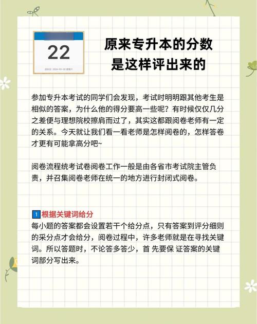 专升本数据库评分标准具体包含哪些细节？