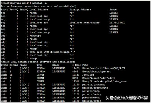 如何快速掌握监控CentOS PHP-FPM状态的高效技巧？