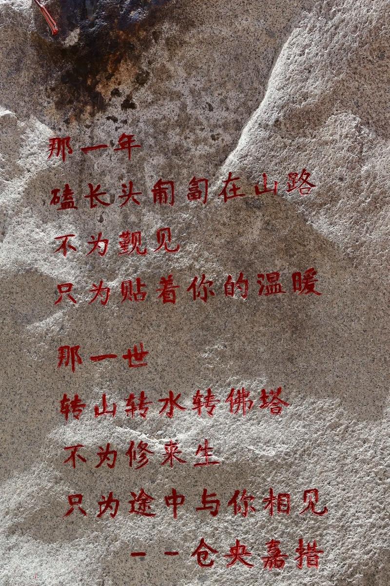 你为何跨越千山万水，只为一睹那神秘的长尾奇观？