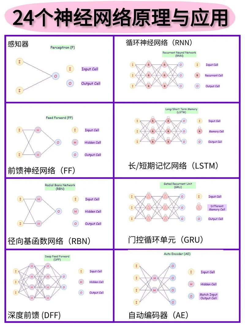 如何运用PyTorch构建并训练复杂的神经网络模型？
