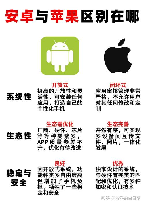 安卓和PHP各自负责的功能是什么？能否详细解释一下它们在开发中的角色？