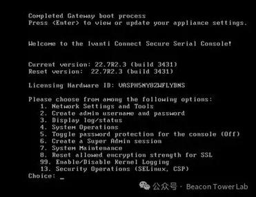 CVE-2012-1873漏洞分析中，有哪些关键点需要注意？