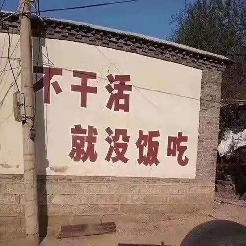 1.0除以0未引发错误，我险些遭遇社会输送危机？