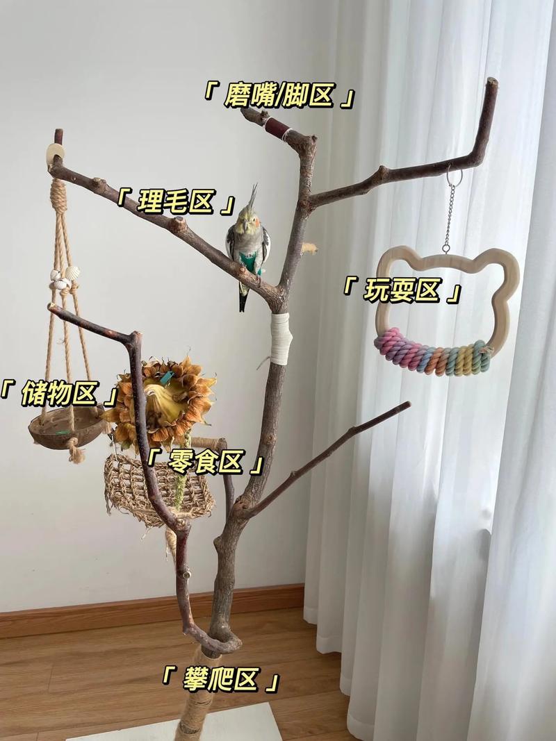 如何通过鹦鹉独立站架食盒图片优化视觉营销和SEO策略，提升外贸独立站转化率？