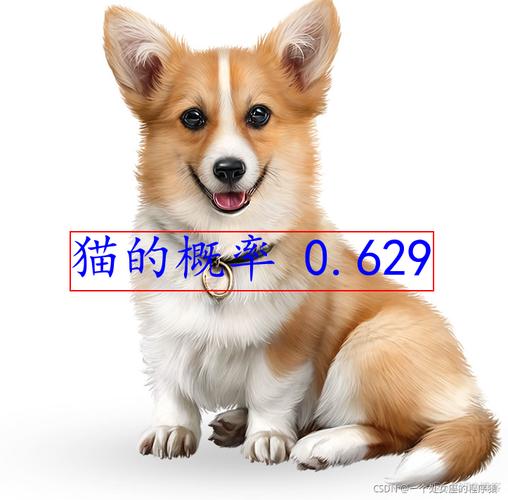 如何用PyTorch实现Kaggle猫狗图像识别项目？