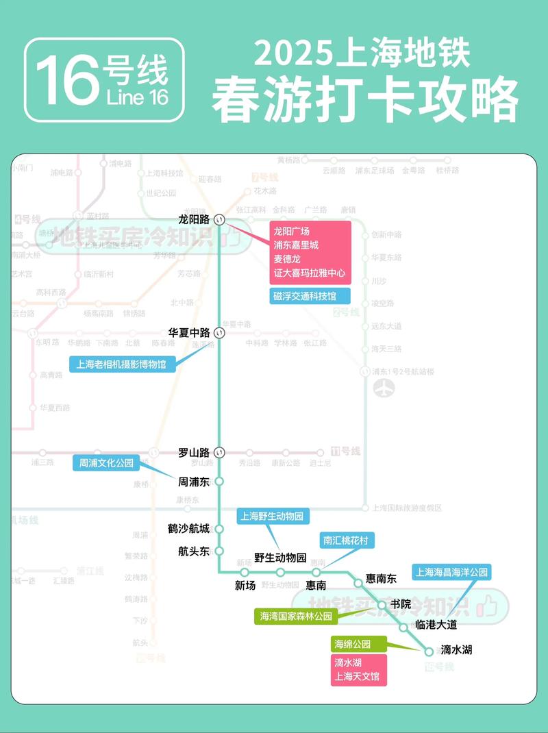 乐鑫笔试期间，地铁打卡活动如何参与？