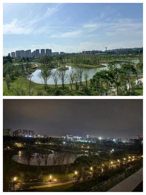 武侯区环境品质提升工程2020有哪些具体措施和成效？