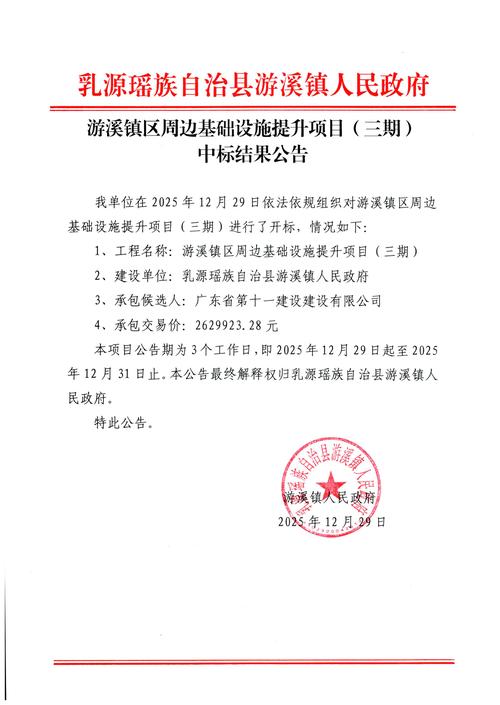 泰和县网站建设专业服务如何驱动数字时代强劲引擎，招标网公告公示解读有何关键点？