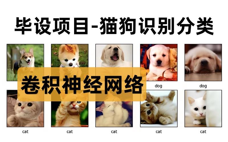 如何使用Keras实现猫狗分类的二分类实例？