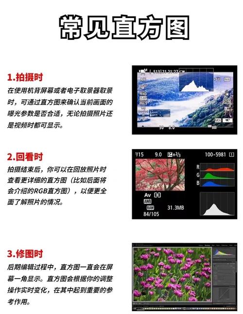 如何运用OpenCV图像处理技术，通过直方图比较方法进行深度详解与实操？