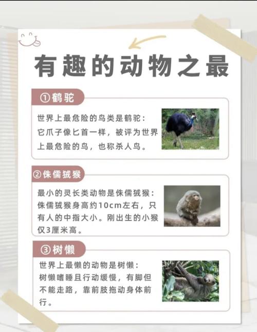 揭秘动物王国，探寻百科词条之首的奥秘，这究竟隐藏着怎样的秘密呢？