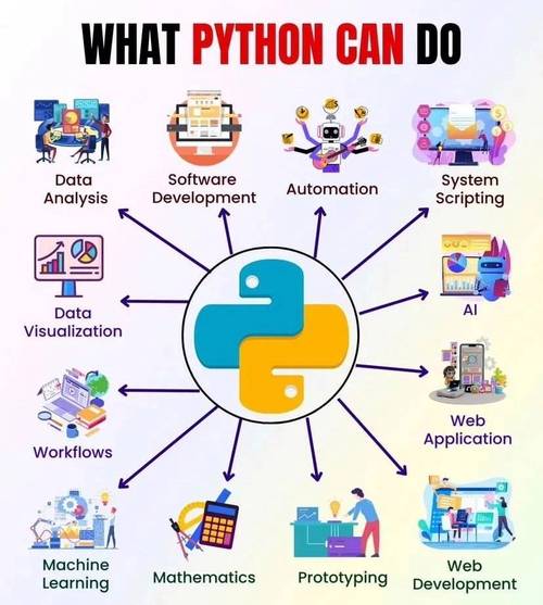 如何使用Python实现等待10秒后执行后续命令的功能？