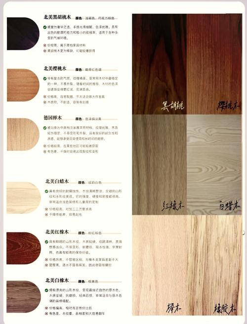名木项目与普通项目在哪些方面有根本的不同之处？