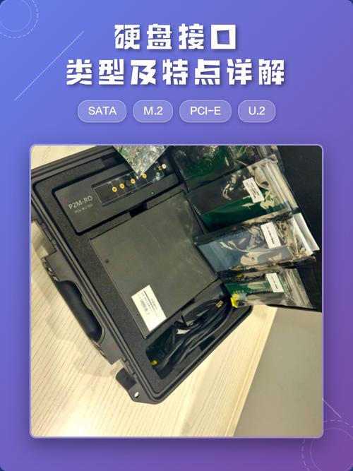 移动硬盘或优盘连接电脑常用的接口是哪一种？