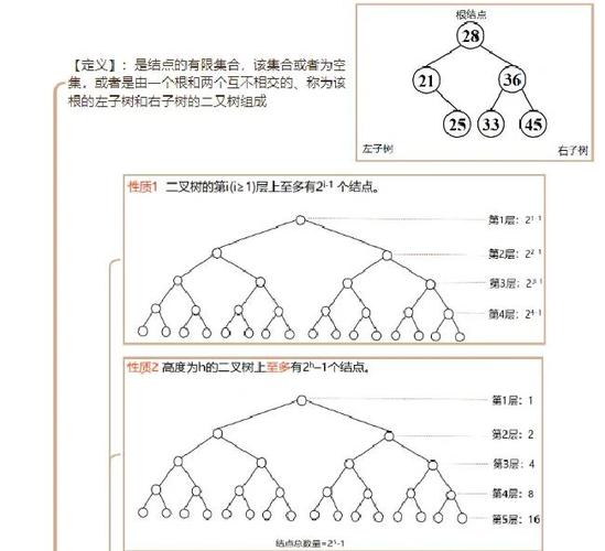 Qz课程中非线性结构与树的数据结构如何学习？
