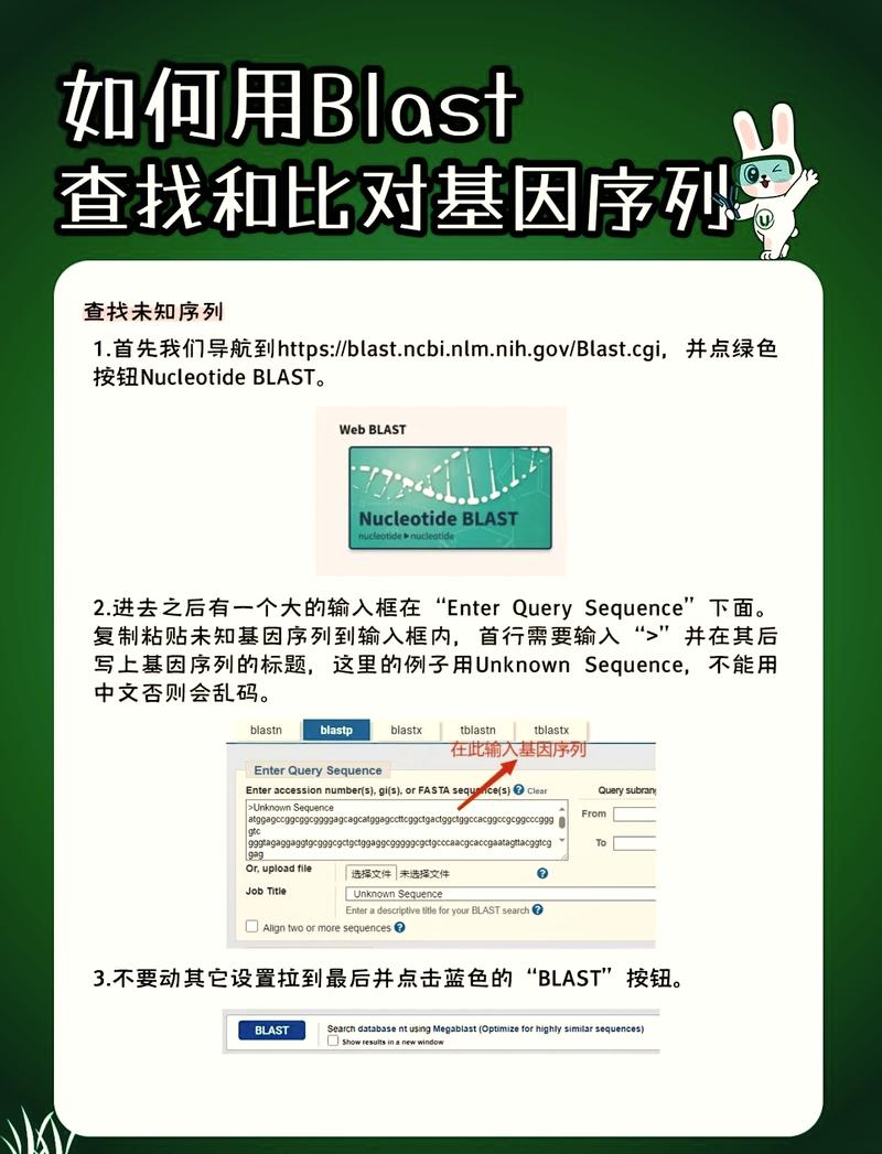 如何在biopython中实现序列比对操作？