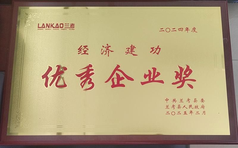 河南启博在安阳网站建设领域，专业力量和卓越实践，安启实业有限公司的成就有哪些？