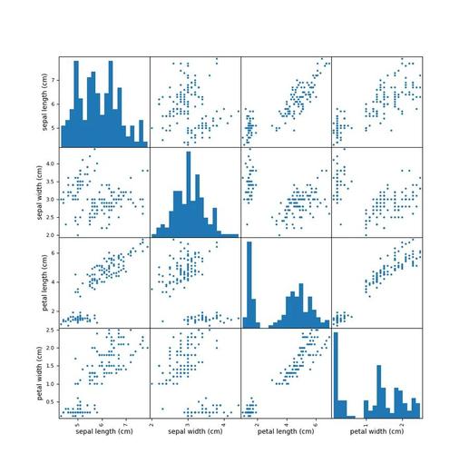 如何用Python绘制展示长尾词分布的散点图实例？