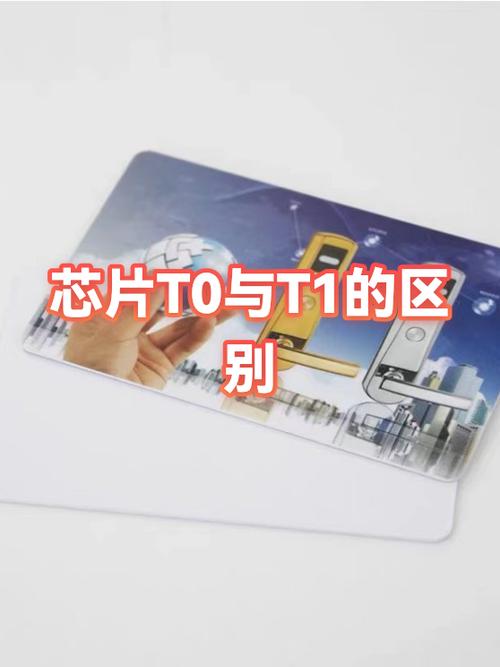 数据库t0与t1有哪些显著差异特点？