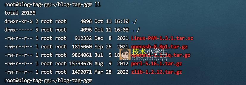 如何快速查询Ubuntu系统下OpenSSL版本并升级到更安全的版本？