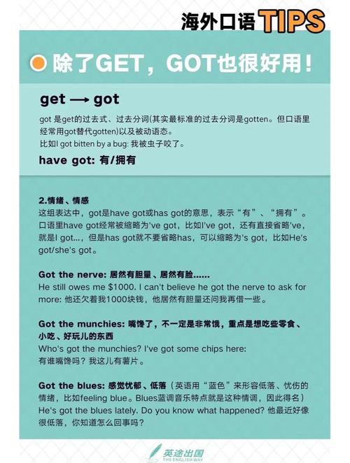 在Go语言中，如何区分 `^` 的两种不同用法？