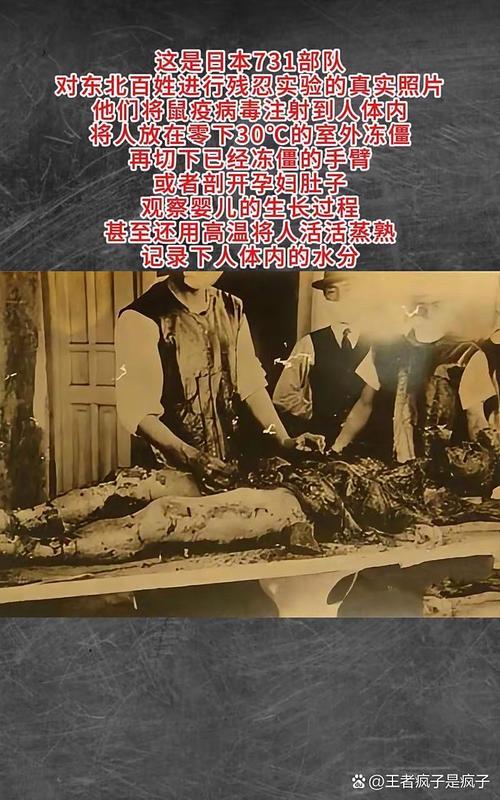 扒光桥梁Handler的真相，究竟隐藏了什么秘密？