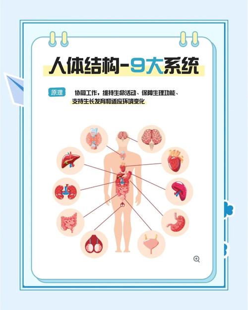 人体数据库具体包含哪些信息？