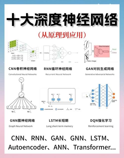 解码网络神经，能否瞬间抓取海量信息？