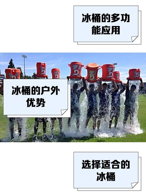 冰桶慈善升级，生态公益新篇章，如何开启？