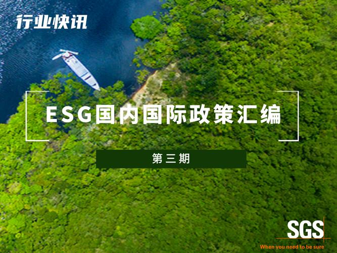 绿色金融数据库项目叫什么名字？