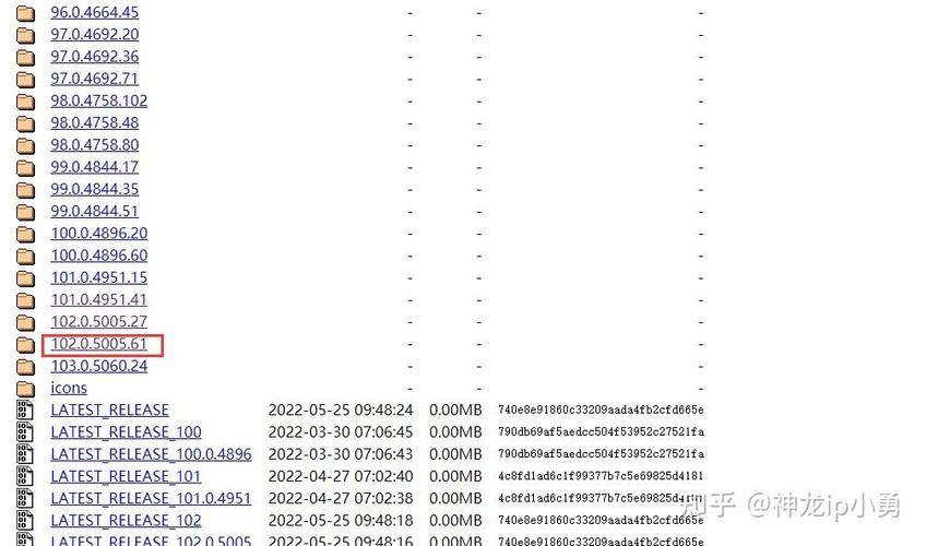 如何解决使用Python Selenium在Chrome浏览器中测试登录时出现的闪退问题？