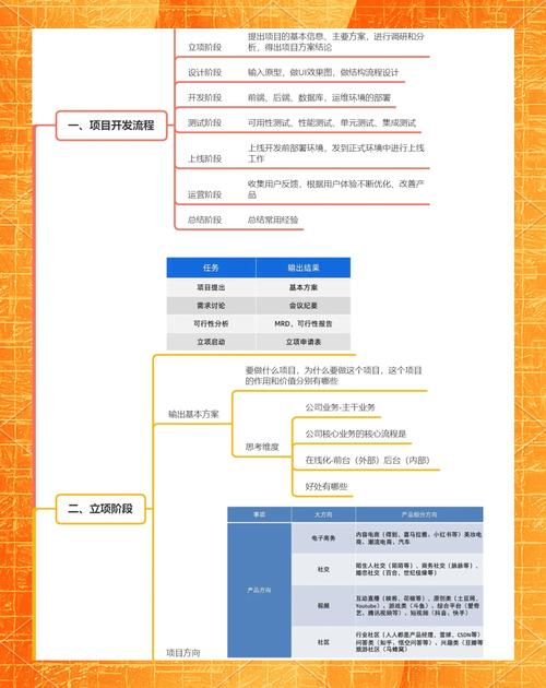 项目立项流程与步骤有何根本差异？