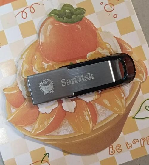 市面上哪种品牌的U盘最安全可靠？