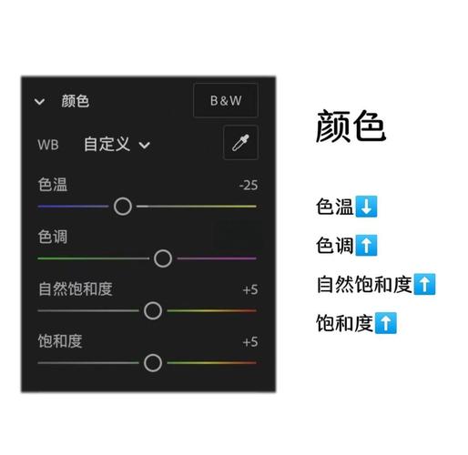 在vb.net中，如何设置colorDialog显示特定自定义颜色方案？
