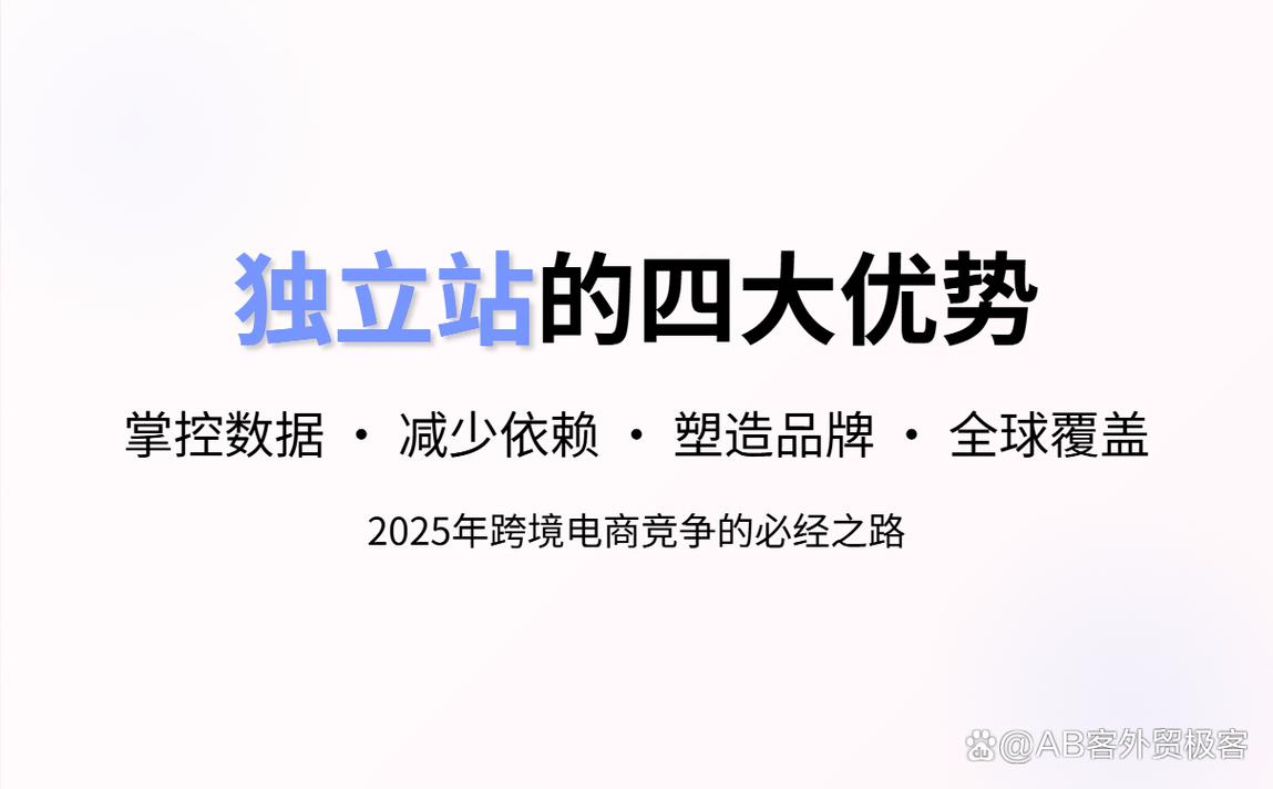 独立站哪个细分人群占比最高？