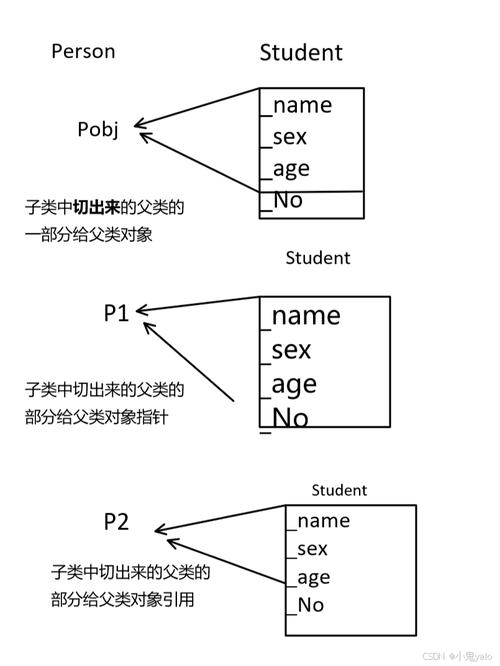 C语言中，如何理解基类与派生类之间的继承关系？