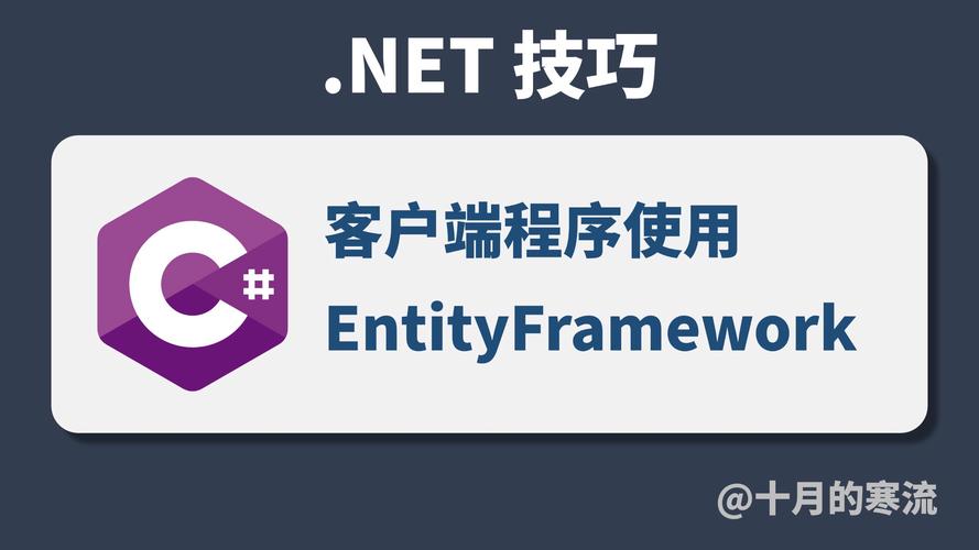 如何在ASP.NET Core项目中高效应用Entity Framework进行数据操作？