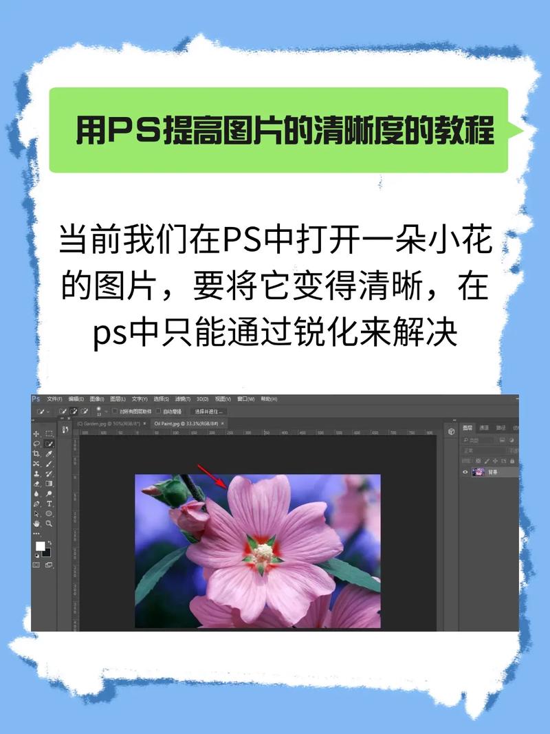 如何通过图片优化技巧提升曝光力？