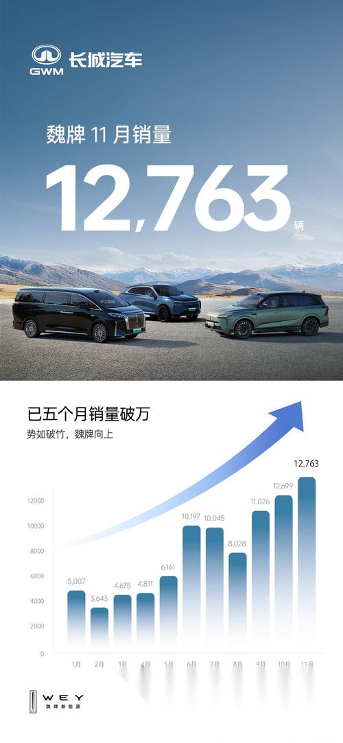 这款产品品质卓越，销量能翻番吗？它会是下一个爆款保障吗？