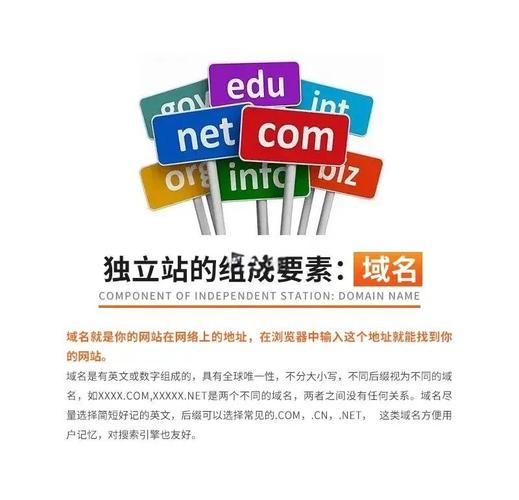 齐齐哈尔建独立站，从域名到上线，如何省30%预算？